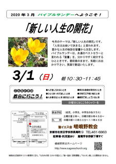 BS2020_03_A.jpg